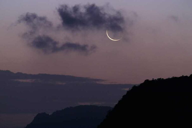 O Que Plantar Na Lua Nova