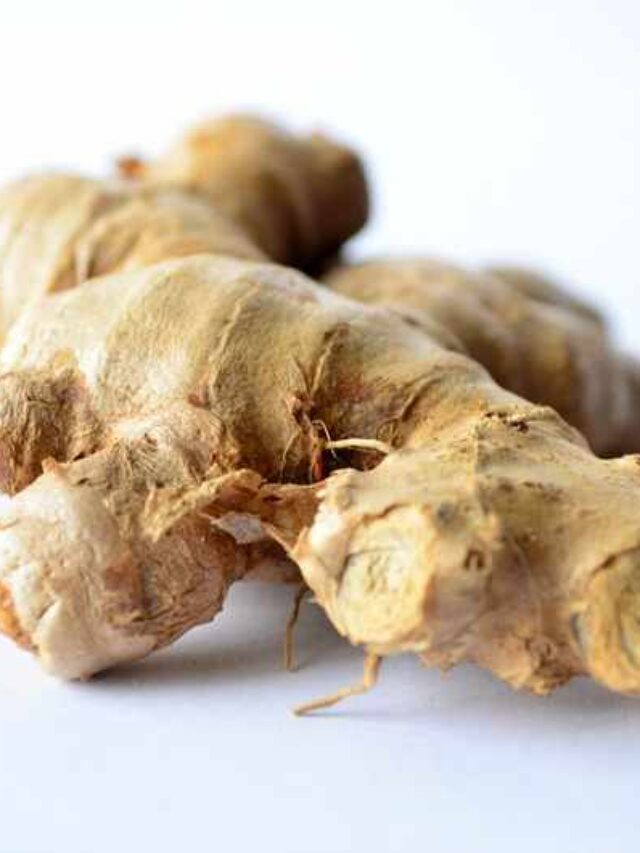 cropped-como-plantar-gengibre.jpg