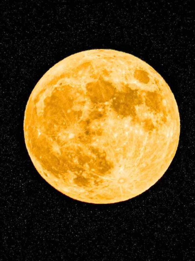 cropped-o-que-plantar-na-lua-cheia.jpg