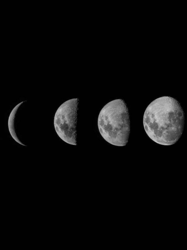 cropped-o-que-plantar-na-lua-nova.jpg