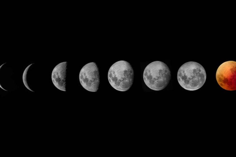 O que plantar na lua nova?