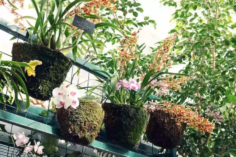 Como decorar um jardim pequeno