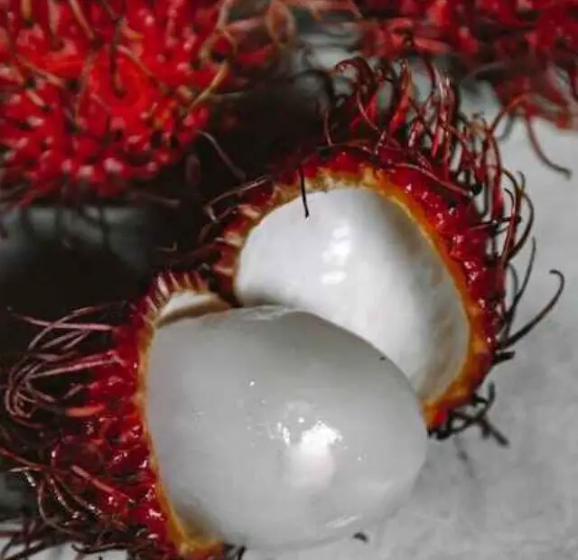 cropped-fruto-da-arvore-rambutan.jpg