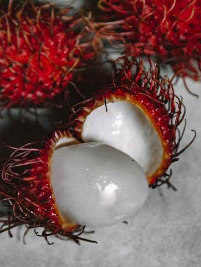 cropped-fruto-da-arvore-rambutan.jpg
