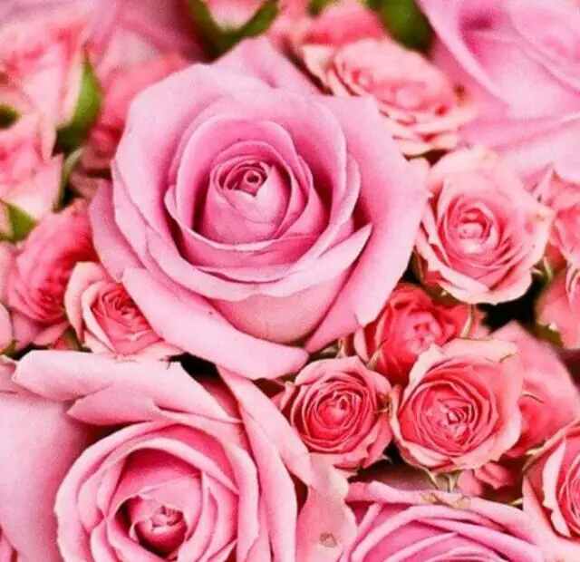 cropped-buque-de-rosas-04.jpg
