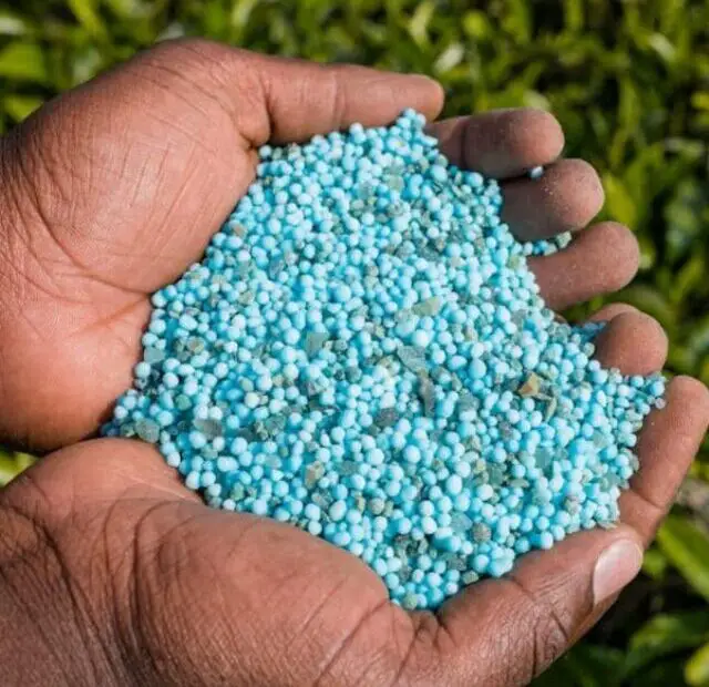 cropped-fertilizantes-para-plantas-em-vasos.jpg