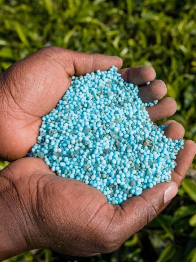 cropped-fertilizantes-para-plantas-em-vasos.jpg