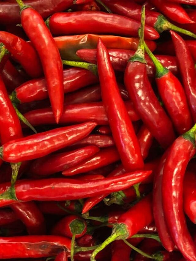 cropped-pimenta-dedo-de-moca-03.jpg