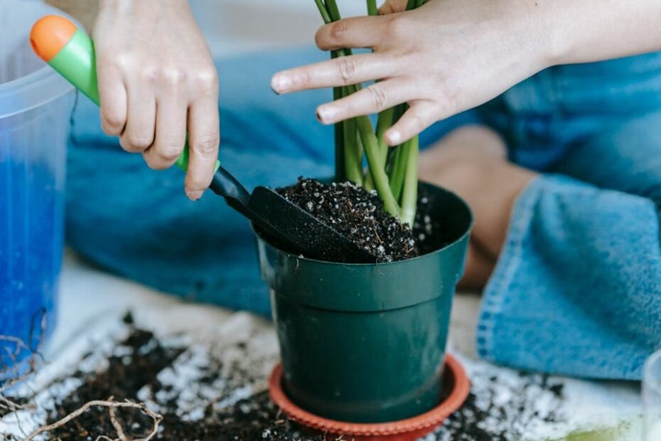 Melhores Fertilizantes para Plantas em Vasos: Guia Completo