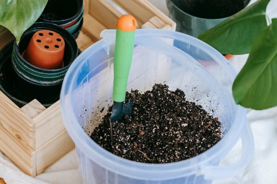 Melhores Fertilizantes para Plantas em Vasos: Guia Completo
