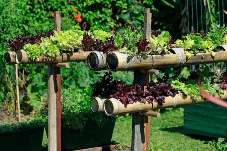 Agricultura Vertical: A Nova Tendência que Está Revolucionando a Jardinagem Urbana