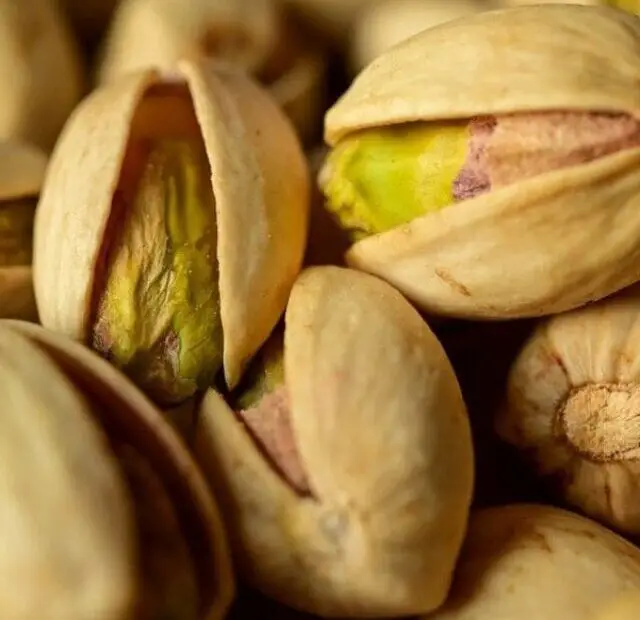 Pistaches frescos com casca levemente aberta, prontos para serem apreciados